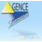 AGENCE DEMONTIS